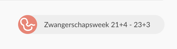 dutch-web-pregnancyicon.png