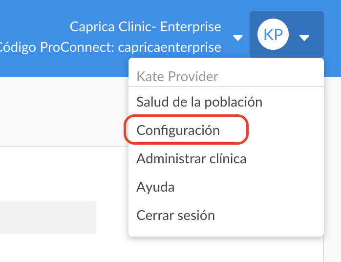 spanish-web-profsettings.png