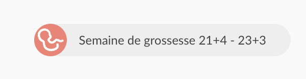 french-web-pregnancyicon.png