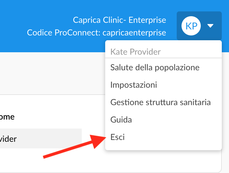 italian-web-providerlogout.png