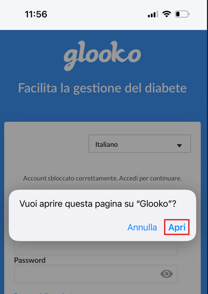 IT_iOS_OpenInApp.png