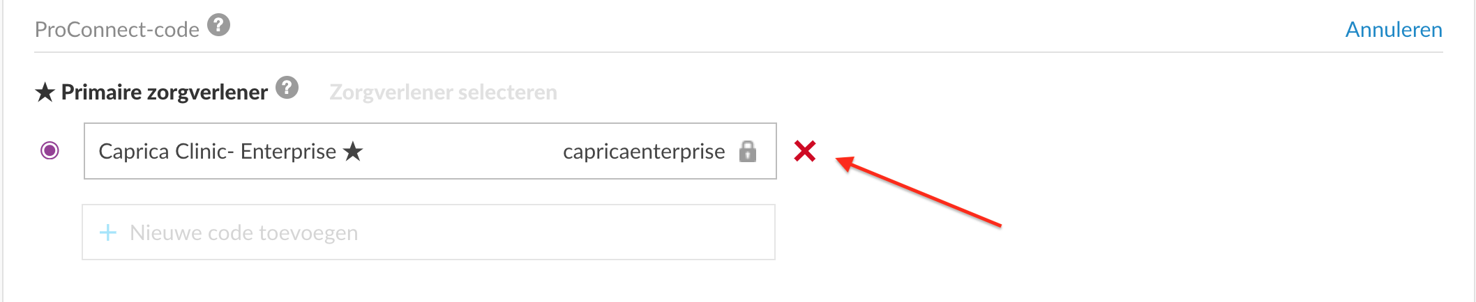 dutch-web-deleteproconnect.png