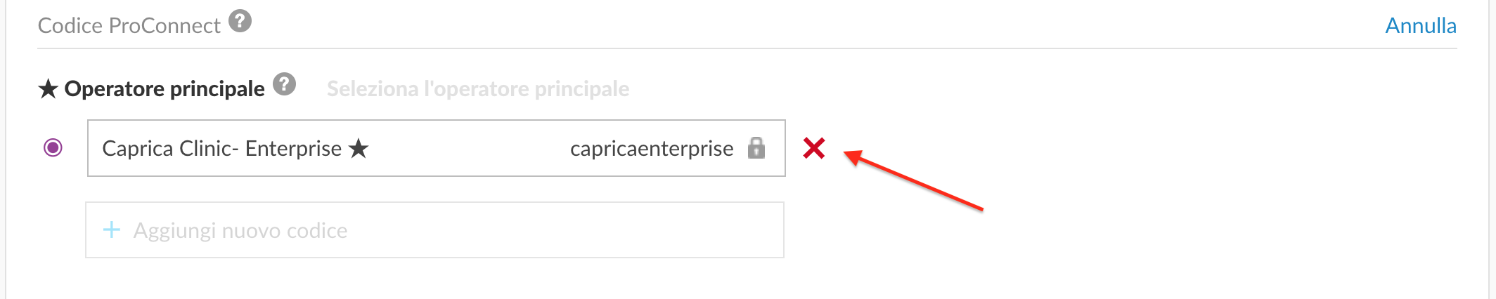 italian-web-deleteprocnnect.png