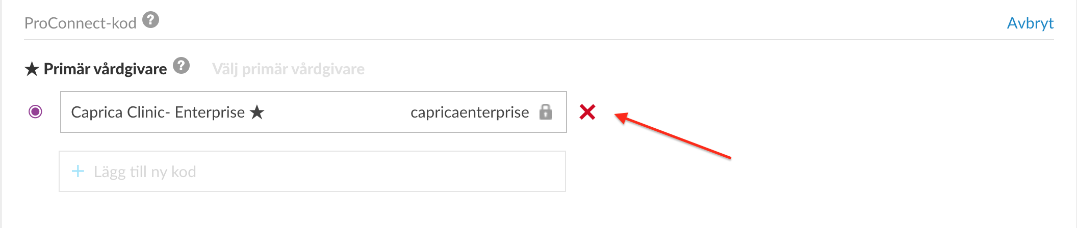 swedish-web-deleteproconnect.png